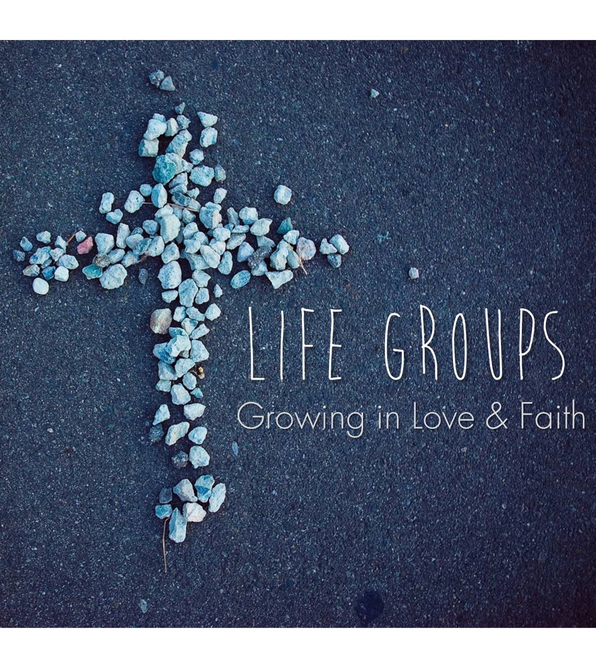 Life Groups